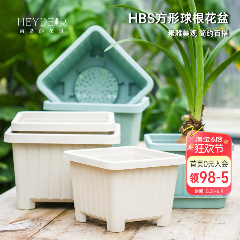 海蒂的花园方形球根花盆树脂盆朱顶红郁金香种球植物种植盆塑料盆