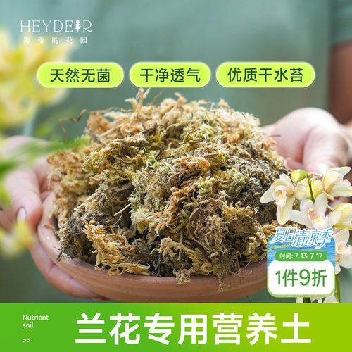 海蒂的花园水苔蝴蝶兰专用土兰花