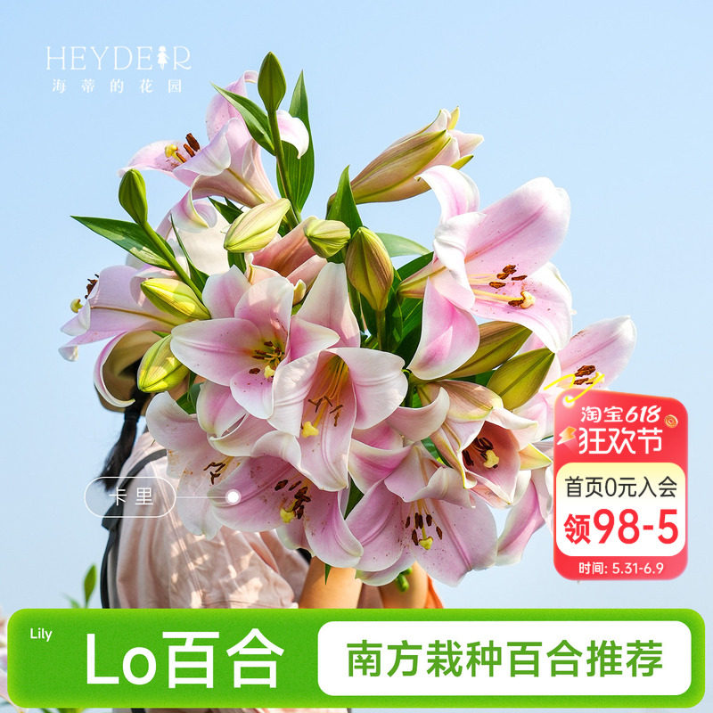 海蒂的花园成都总店LO百合种球进口球根庭院盆栽阳台植物海妈