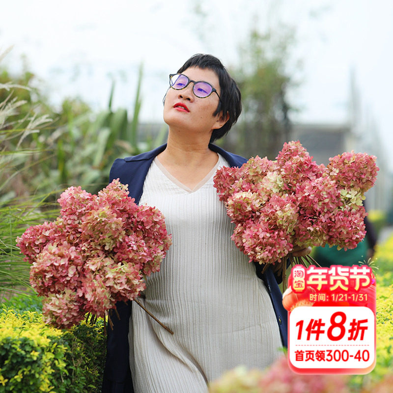 海蒂的花园圆锥绣球石灰灯夏季开花楼顶庭院地栽耐寒耐晒花卉盆栽,鲜花速递/花卉仿真/绿植园艺,绣球/木绣球/木本植物,淘宝优惠券,粉丝福利购,淘宝优惠卷