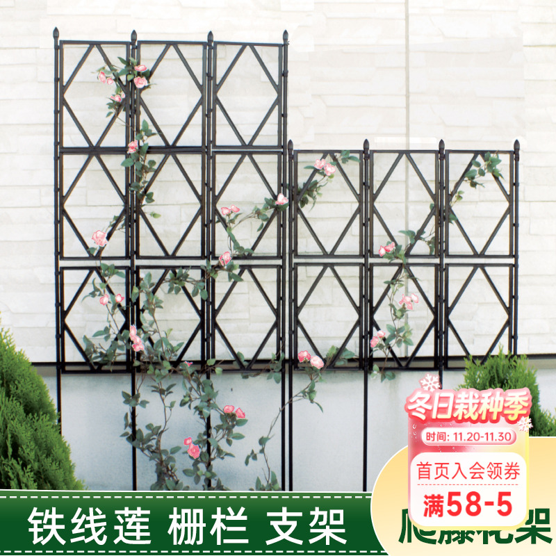 园之助月季铁线莲爬藤园艺花架