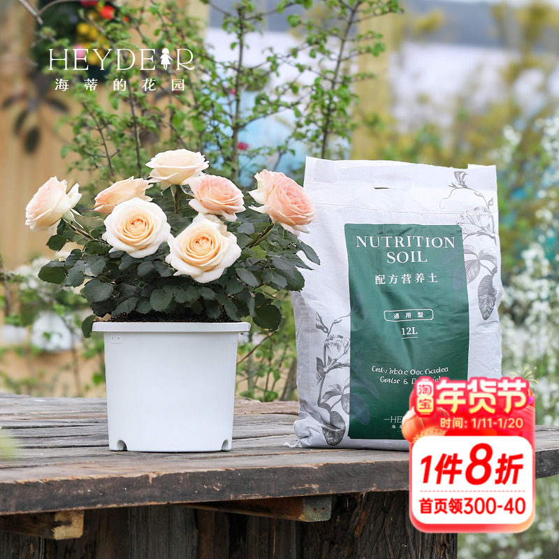 海蒂的花园养花种菜通用专用配方土花盆换盆养护套餐,鲜花速递/花卉仿真/绿植园艺,花盆,淘宝优惠券,粉丝福利购,淘宝优惠卷