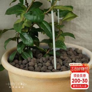 海蒂的花园 铺面陶粒花盆铺面石盆栽绿植花卉兰花垫底透气防烂根