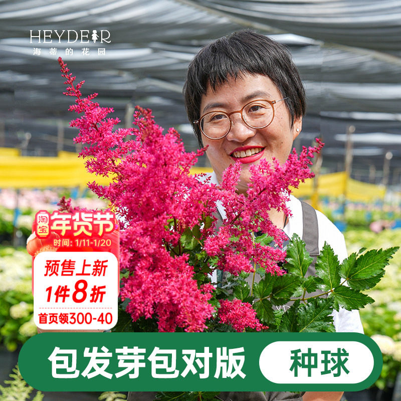 海蒂的花园落新妇裸根苗耐阴多年生花卉阳台盆栽庭院地栽花境植物,鲜花速递/花卉仿真/绿植园艺,种球/裸根,淘宝优惠券,粉丝福利购,淘宝优惠卷