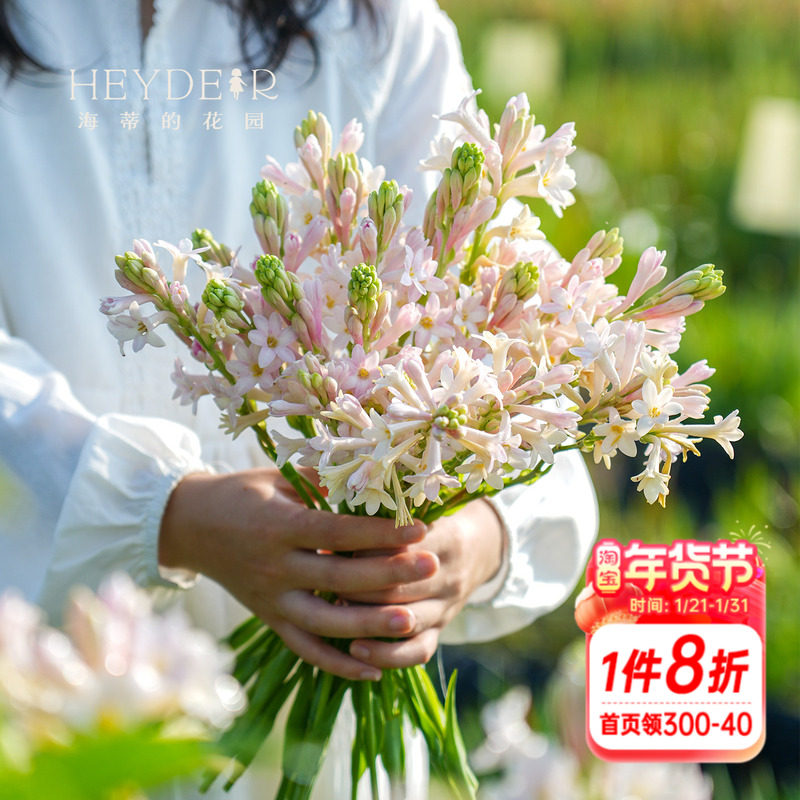 海蒂的花园晚香玉种球月下香夜来香庭院露台室外阳台盆栽花卉植物,鲜花速递/花卉仿真/绿植园艺,种苗/半成品盆栽,淘宝优惠券,粉丝福利购,淘宝优惠卷