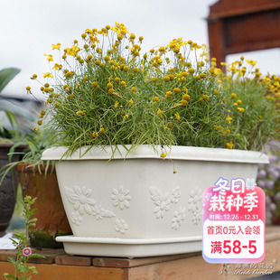 海蒂 花园花盆托盘爱丽思长条盆树脂园艺花盆托长方形底垫防漏水
