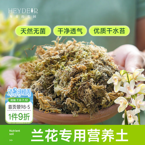 海蒂的花园水苔蝴蝶兰专用土兰花