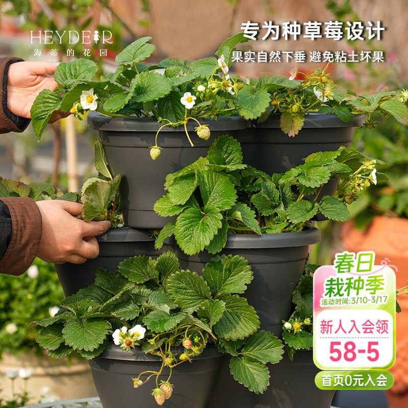 海蒂的花园环球星格尔组合盆种花种菜种草莓盆树脂创意立体花盆