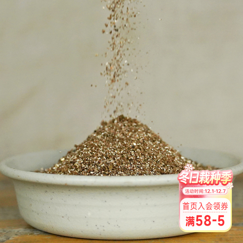 扦插蛭石介质海蒂的花园