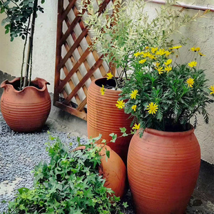 海蒂的花园桂花龙窑红陶盆可爱复古土陶罐花卉盆栽种植种果树花盆