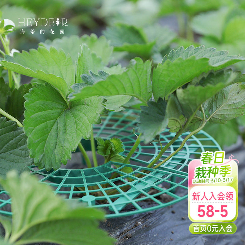 海蒂的花园 草莓架种植架盆栽果实花盆支架支撑神器授粉刷授粉笔