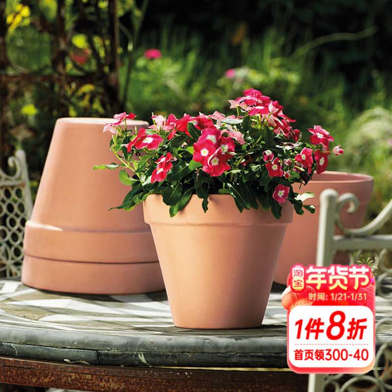 海蒂的花园帝罗马陶盆国际盆帝罗马花盆红陶花盆绿植花卉种植盆,鲜花速递/花卉仿真/绿植园艺,花盆,淘宝优惠券,粉丝福利购,淘宝优惠卷