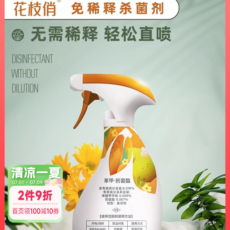 千百季资材花枝俏白粉链接【直播链接】