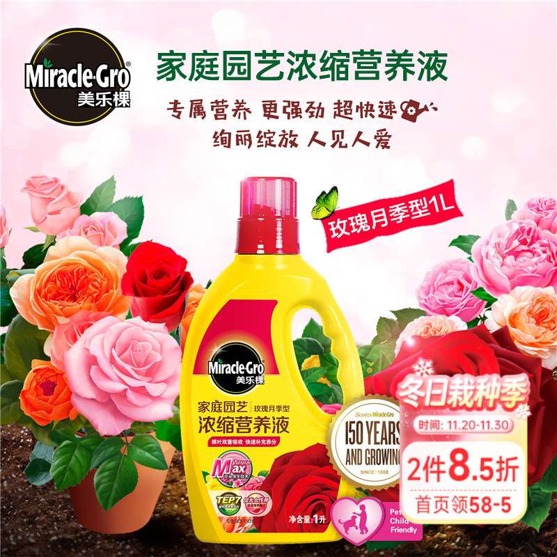 海蒂的花园玫瑰月季型