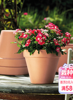 海蒂的花园帝罗马陶盆国际盆帝罗马花盆红陶花盆绿植花卉种植盆