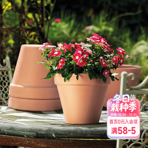 海蒂的花园帝罗马陶盆国际盆帝罗马花盆红陶花盆绿植花卉种植盆
