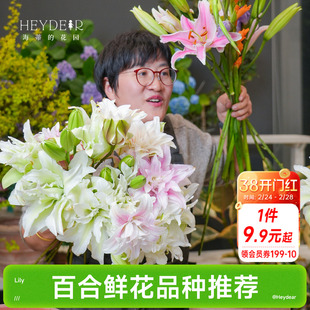 海蒂的花园成都总店 春百合种球鲜切花品种重瓣球根庭院盆栽地栽