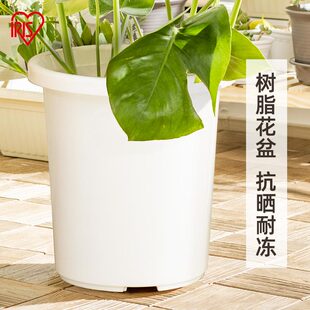 海蒂的花园爱丽思TILT素雅简约树脂塑料花盆月季绣球种植盆深型盆