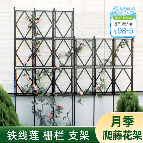 园之助月季铁线莲爬藤园艺花架