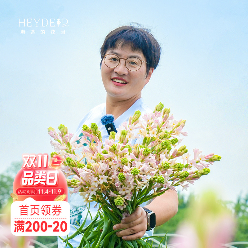 海蒂的花园晚香玉花卉盆栽重瓣夜来香月下香庭院露台室外阳台植物