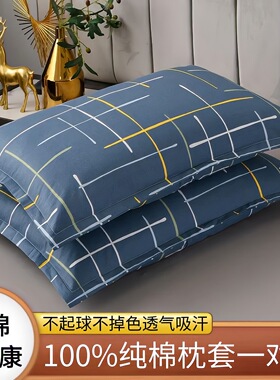 100纯棉枕套一对装单个装1个全棉枕头套40×60学生宿舍48×74家用