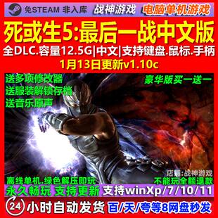 死或生5最后一战 中文版 全DLC 免steam 电脑PC单机游戏