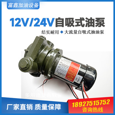 12V24V220V750瓦大流量自吸抽油泵柴油泵减速泵减速马达电池泵