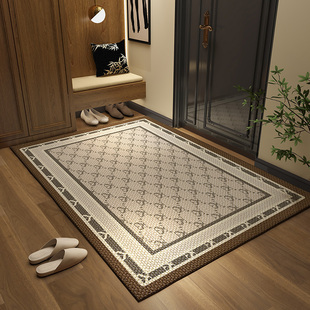 轻奢入户门地垫家用别墅大门口防滑脚垫子进门玄关耐脏地毯可裁剪