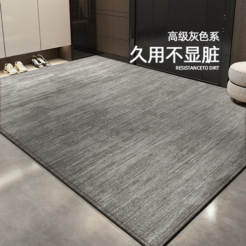 2025新款入户门地垫高级感门口室内外脚垫防滑耐脏家用地毯进门垫