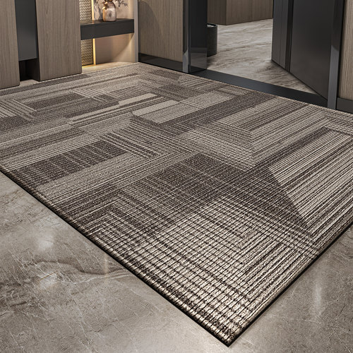 入户门地垫高级感轻奢入户耐脏免洗脚垫防滑地毯家用进门门口门垫