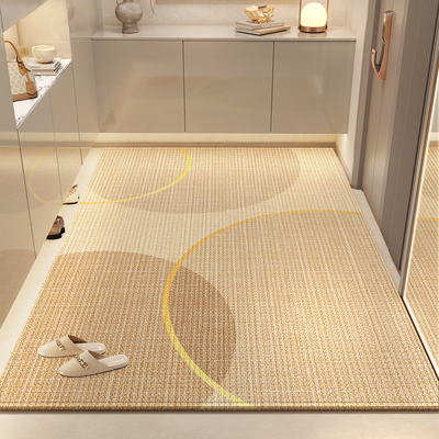 入户门垫进门家用脚踏垫室内防滑高级玄关客厅脚垫新款入户门地垫