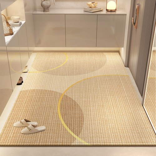 入户门垫进门家用脚踏垫室内防滑高级玄关客厅脚垫新款入户门地垫