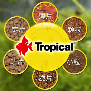 原瓶原装Tropical卓必克软粮螺旋藻鳞虾昆虫薄片颗粒增色鱼饲料