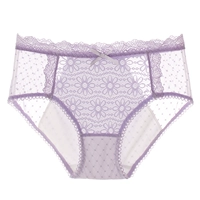 SLKC129 Purple