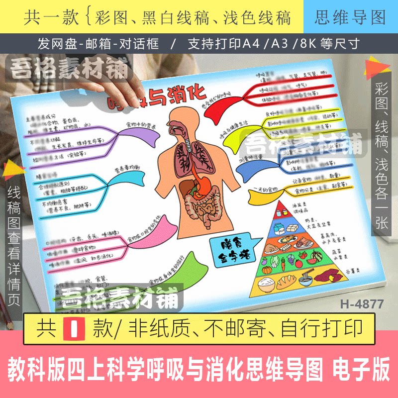 教科版四年级上册科学呼吸与消化思维导图模版电子版手抄报线描稿