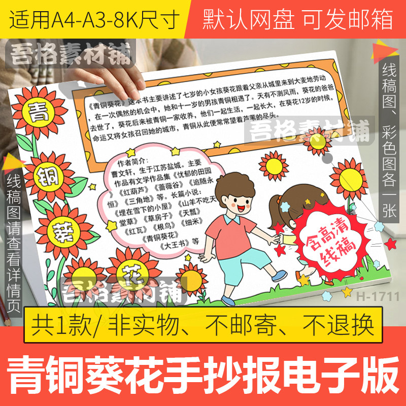 青铜葵花手抄报模板电子版小学生长篇小说四六年级课外必读书线稿