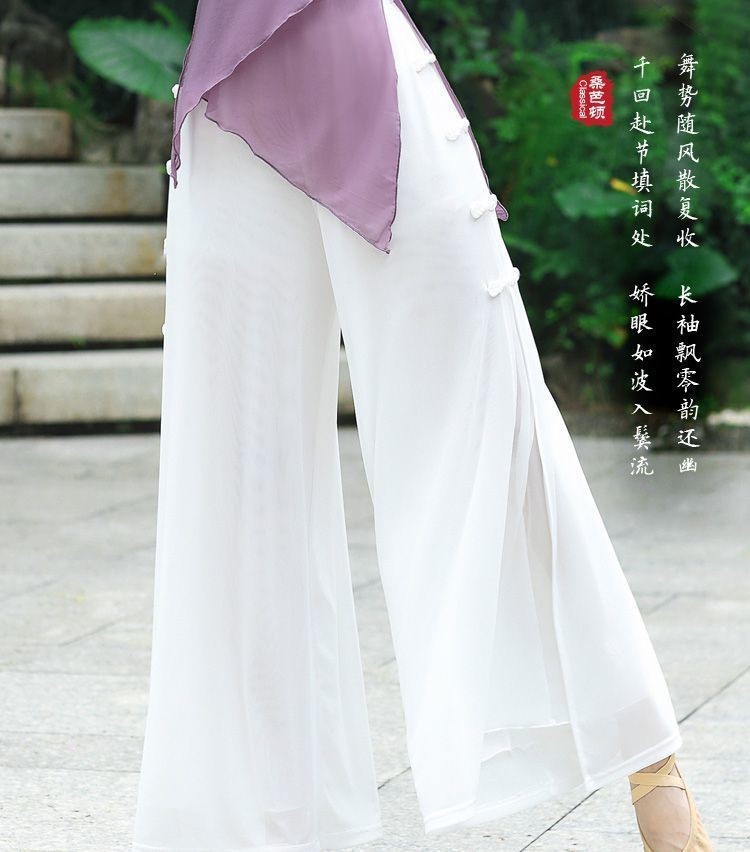 【开叉】春夏双层古典舞蹈服女飘逸练功服现代民族舞网纱阔腿裤