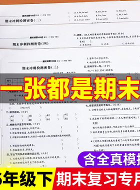 期末冲刺100分一年级二年级三年级四五六下册人教部编办语文数学英语试卷测试卷全套小学同步练习册单元真题卷专项训练期末总复习