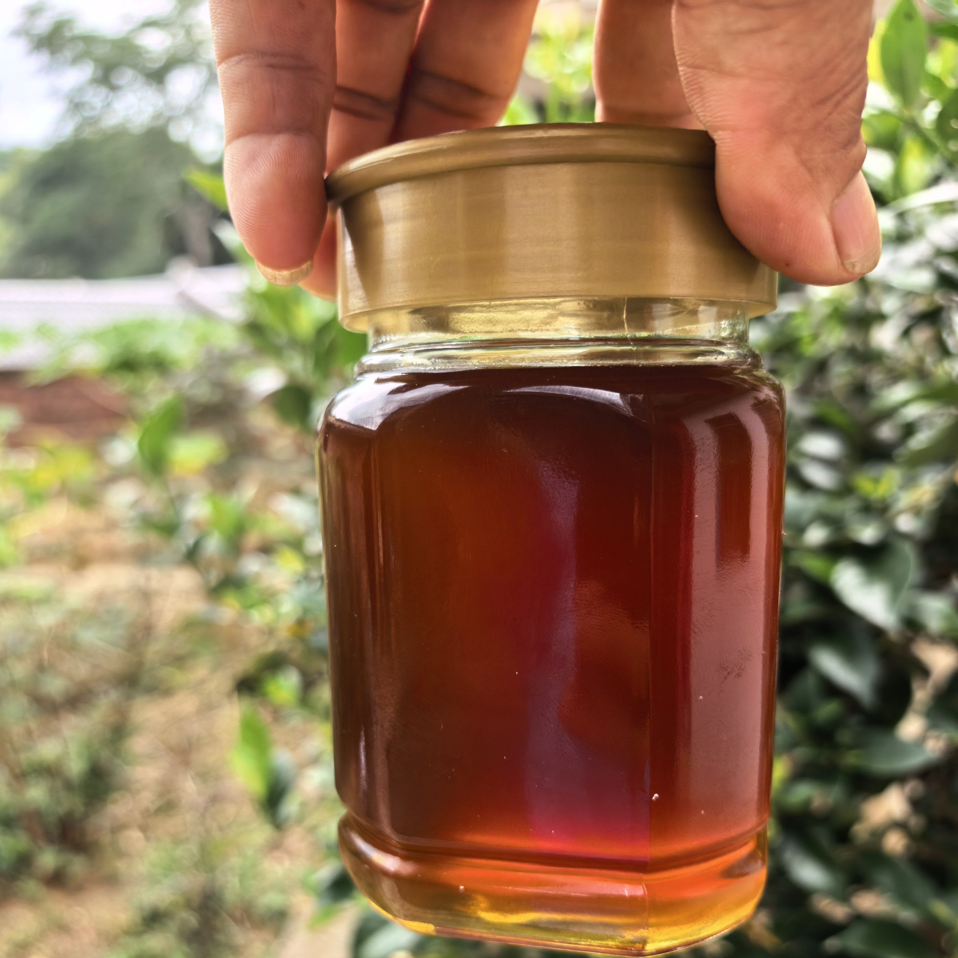 纯天然百花蜂蜜野外农家