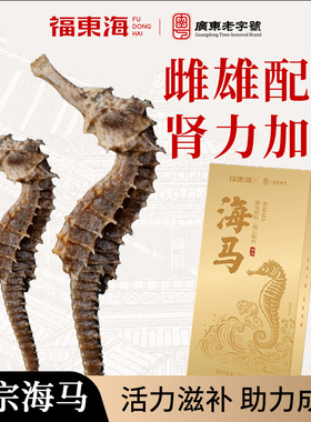 福东海大海马干货公母配对海龙海马干增炖高汤中煲汤药材正品泡酒