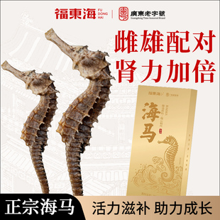 福东海大海马干货公母配对海龙海马干增炖高汤中煲汤药材正品 泡酒