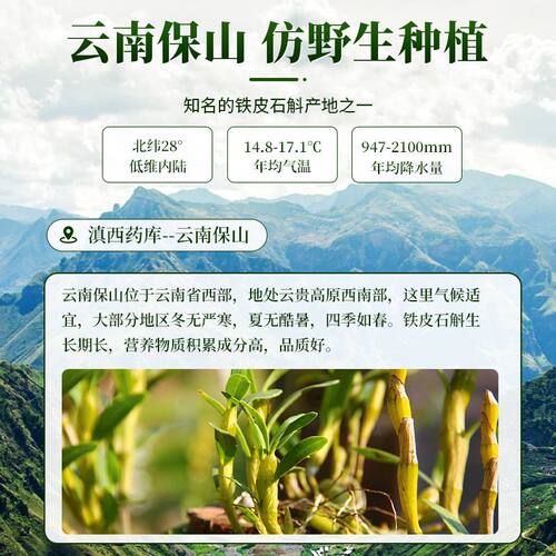 正宗云南铁皮石斛泡水喝