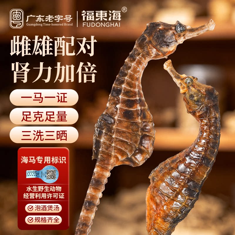 福东海海马煲汤药材正品泡酒图片