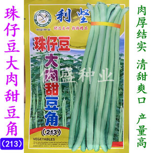 珠仔豆大肉甜豆角种子猪仔豆厚肉清甜油白豇豆八月豆种籽蔬菜种孑