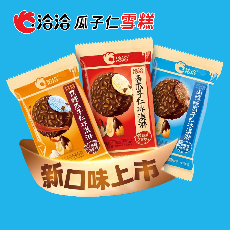 10支洽洽香瓜子仁雪糕