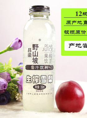 吕梁野山坡生榨整箱果味饮料