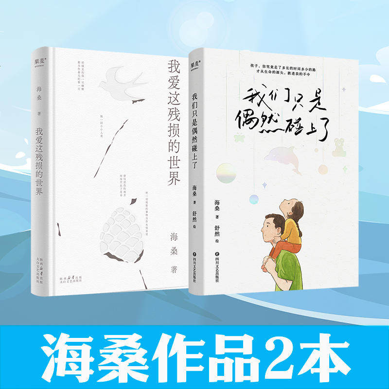 正版 我们只是偶然碰上了 我爱这残损的世界 诗人海桑写给女儿的一本