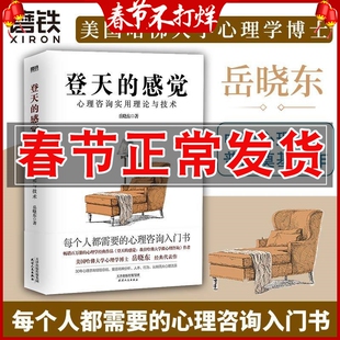 正版 登天的感觉 心理咨询实用理论与技术 岳晓东 成长心理学心理咨询的环境管理技术关系确立技术会面接待技术等