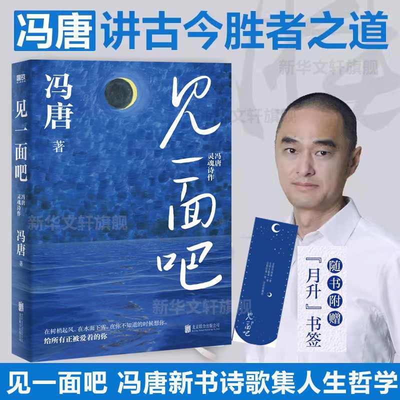 正版 见一面吧 冯唐灵魂诗作 305首三行短诗 给所有正被爱着的你 了不起成事心法作者