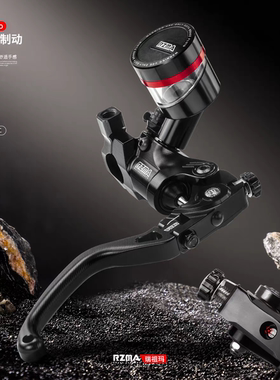 瑞祖玛GT02pro+直推上泵 九号M395C M5 MZ 小牛NX/FX风速 极核AE5